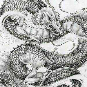 Meet your Posher, Sandy